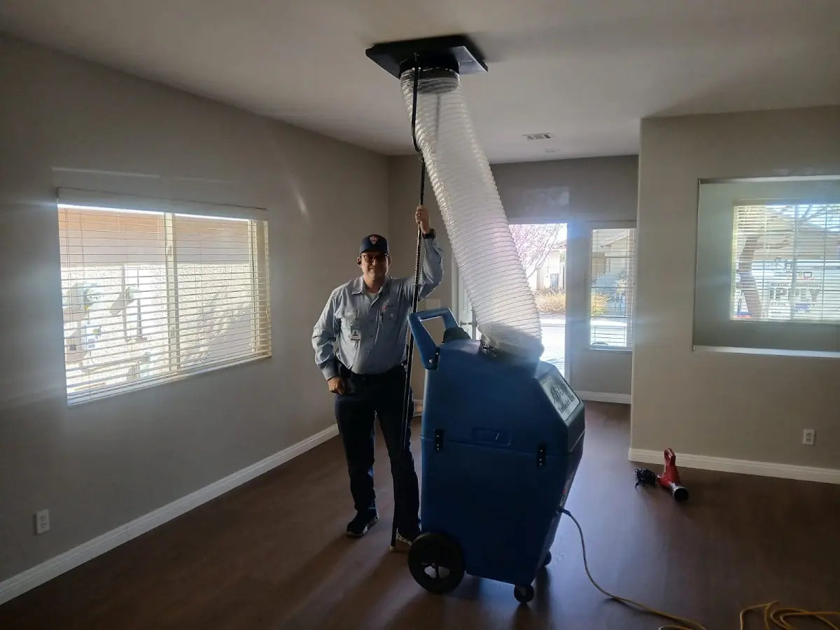 Professional Dryer Vent Cleaning work inside a Allen home